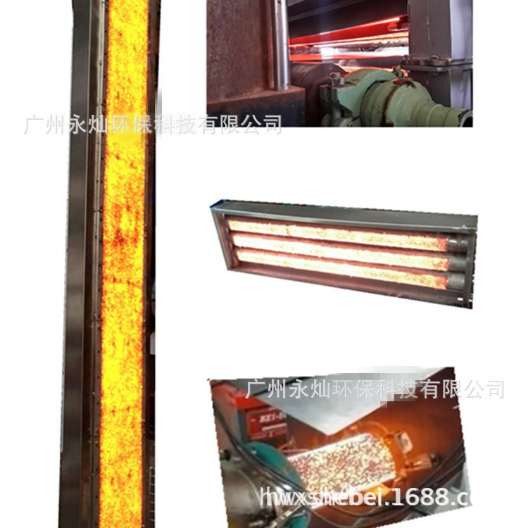 6203.jpg