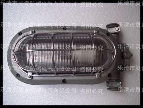 DGC35/127N(B)矿用隔爆型支架灯,矿用支架灯,煤矿支架灯