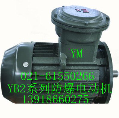 YB2-160L-6防爆電機(jī)|防爆電機(jī)價(jià)格|防爆電動(dòng)機(jī)