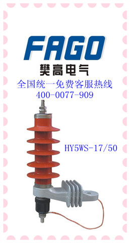 樊高實力打造HY5WS-17/50DL-TB跌落式避雷器