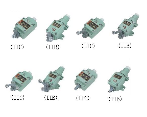 防爆行程开关  BLX69系列防爆行程开关(ⅡB、ⅡC)