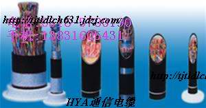 HYA-40(2*0.5)价格 HYA50*2*0.4 通信电缆