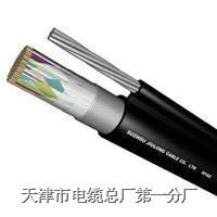 全聚氯乙稀配線電纜和局用電纜  6*1.0