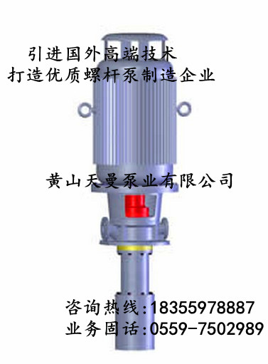  广西麻石水电站机组改造工程专用3GR85×3C2三螺杆泵