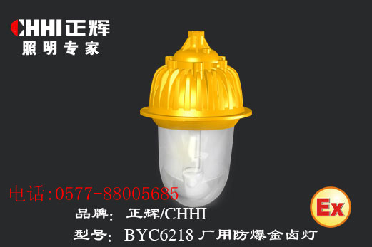 厂用防爆金卤灯BYC6218