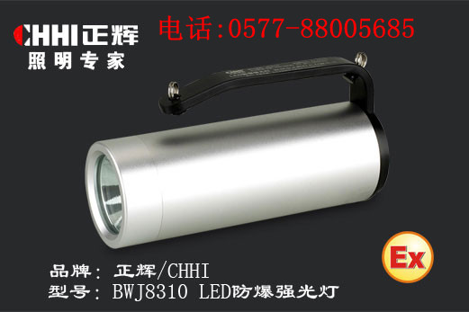 供应浙江正辉照明BWJ8310 LED防爆强光灯