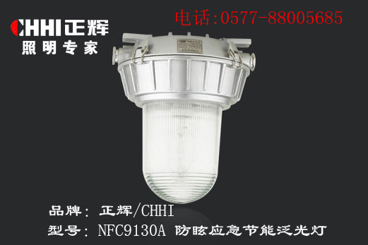 NEC9130A-防眩应急节能泛光灯