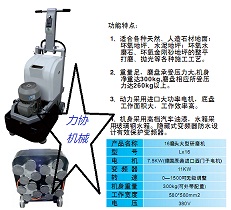 湖南V16石材翻新機(jī)