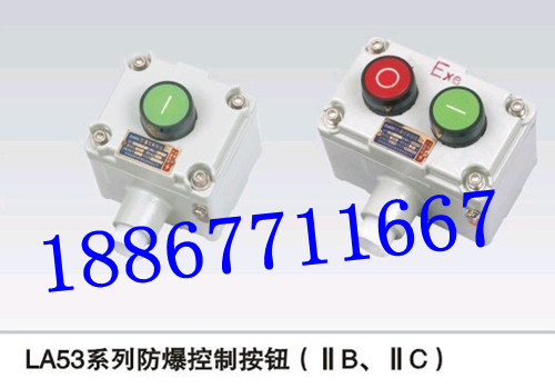 LA53系列防爆控制按钮(ⅡB、IIC)