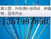 新疆壓力表YD熱電偶烏魯木齊耐震壓力表、工業(yè)熱電偶