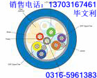 最新】市内通信电缆HYA，电话电缆HYA【供应