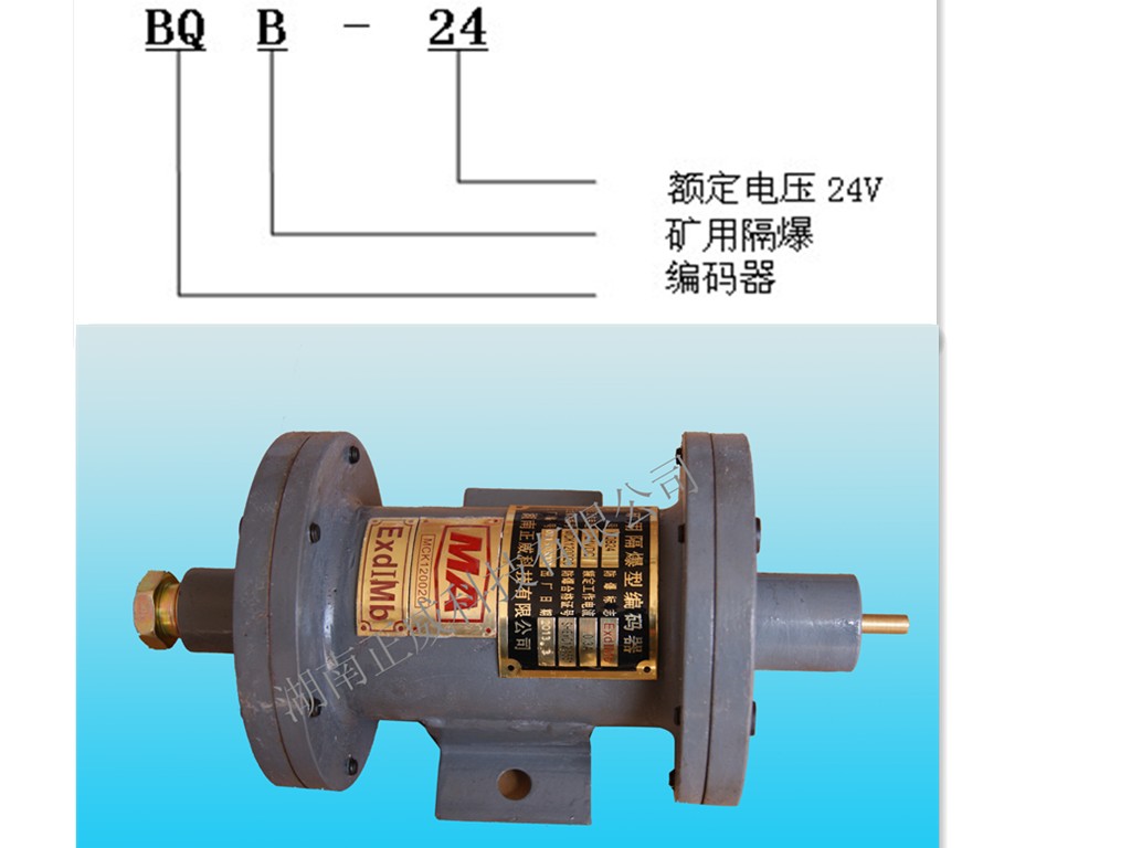 防爆編碼器BQB