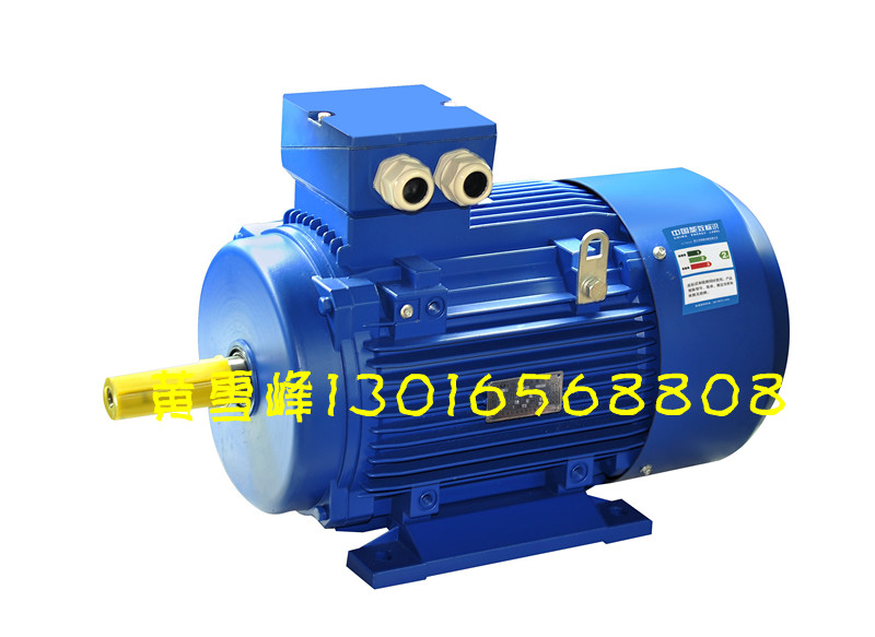 現(xiàn)貨供應(yīng)YX3-200L2-6-22KW二級能效高效電機(jī)型號、圖