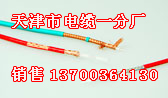 海城 矿用井筒防爆通信电缆价格，海城MHYAV防爆电缆