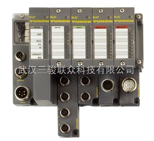 TI-BL20-PG-EN-2 图尔克总线模块特价供应