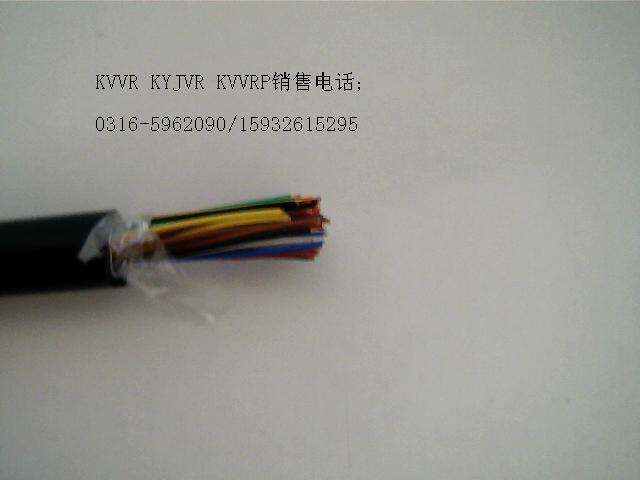 電纜ZR-YJV-P(T) 0.6/1KV