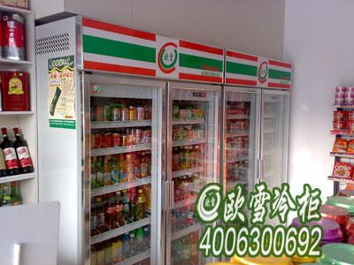 立体饮料冰柜有哪些品牌，冰柜，冷柜，蛋糕保鲜柜，水果保鲜柜