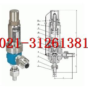  A61H、A61Y弹簧微启式安全阀