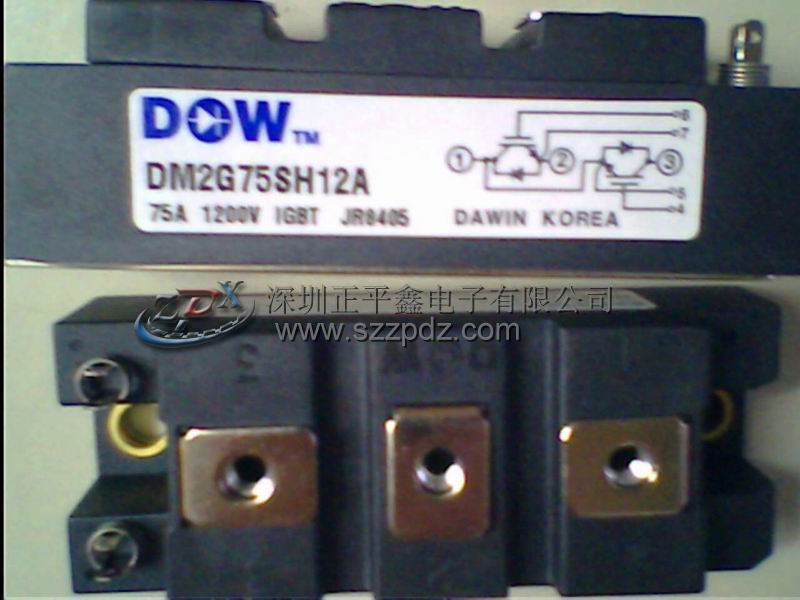 全新进口原装DM2G75SH12A韩国大卫模块