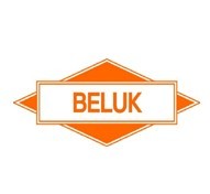 德国BELUK控制器、继电器 BELUK控制器、继电器 代理