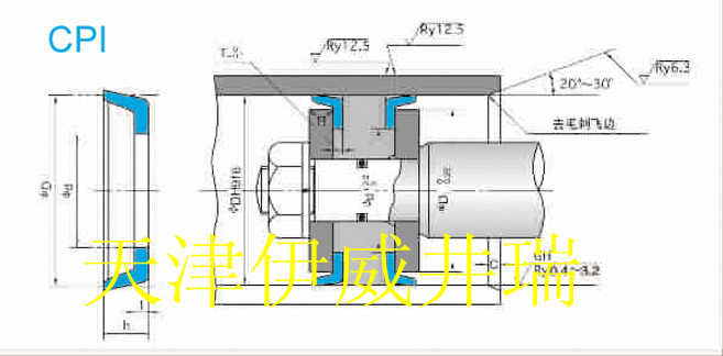 CPI密封件-活塞专用密封件-CPI标准件-nok品牌