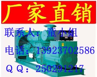 甘肅蘭州新城發(fā)電機(jī) 蘭州新城柴油 發(fā)電機(jī)組價格