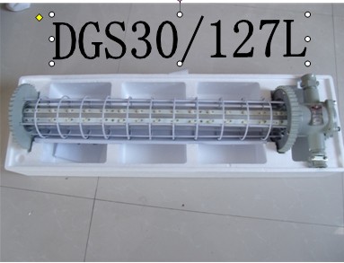 實(shí)價(jià)DGS30/127L（B）防爆巷道燈煤礦用巷道價(jià)格