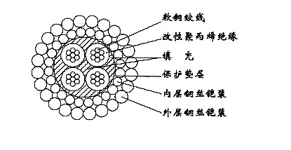 W4B (4H-185A)-4.70mm型四芯改性聚丙烯绝缘双钢丝