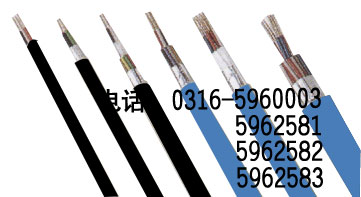 《供應》伊春井筒阻燃防爆信號電纜供應