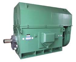 节能高压电机YKK450-2B 250KW 10KV