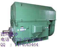 西安西Y4502-2 400KW 10KV三相异步电动机