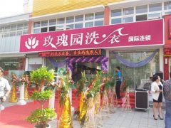 女白领弃十万年薪为圆梦开洗衣店