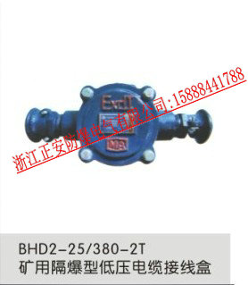 BHD2-40/380-2T礦用接線盒BHD2-40/380-2T