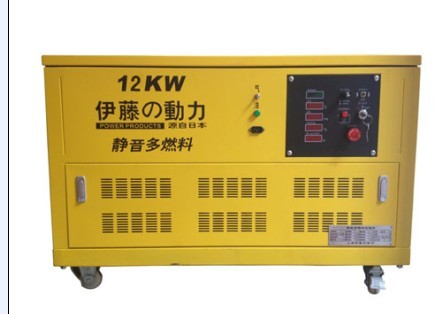 伊藤動(dòng)力12千瓦多燃料發(fā)電機(jī)組YT12RGF