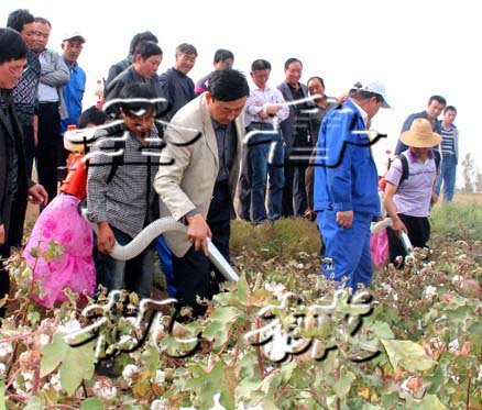 汽油采棉機(jī) 背負(fù)式棉花收獲機(jī)