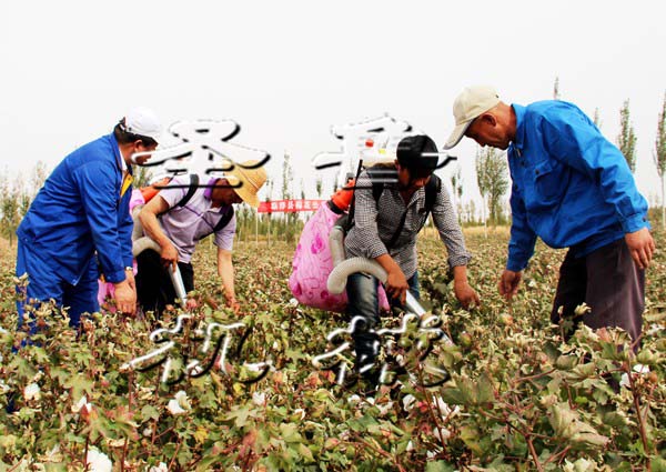 棉花收獲機(jī) 汽油式采棉機(jī) 背負(fù)式采棉機(jī)