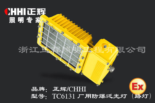 BTC6131厂用防爆泛光灯