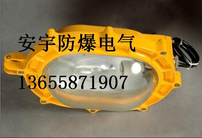 安宇-BFE8120內(nèi)場防爆應(yīng)急燈光源MH氣體放電燈