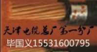 电力电力YJY32-0.6/1KV-16*2.5