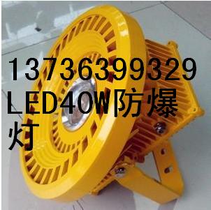 80WLED立桿式BLD-80Wb1免維護(hù)固態(tài)防爆燈30-80W