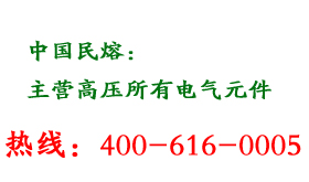 RZL10-10 10000/100户外电压互感器