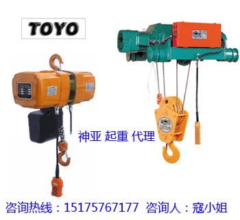 日本TOYO电动葫芦_保证正品