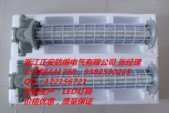 24W防爆LED巷道灯、DGS24/127L(B)巷道灯、127V