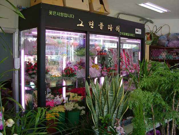 上海鲜花柜，上海鲜花柜厂家，上海鲜花柜价格，上海哪里有卖鲜花柜