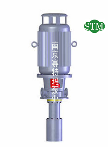 4.0Mpa水电站压油泵C2D45双出口螺杆泵