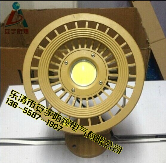 110Wled投光燈 吸頂式 BLD95免維護(hù)led投光燈220V