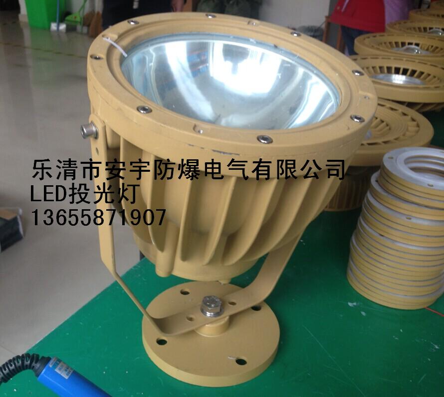 BLD96-40W防爆免維護(hù)LED投光燈吸頂式AC220V