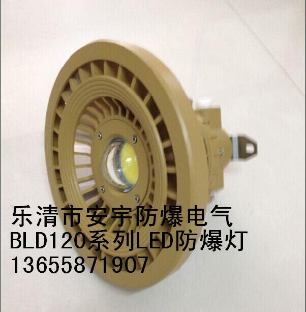 bld120-100Wled防爆照明燈壁式 吸頂式 吊桿式 護(hù)欄式