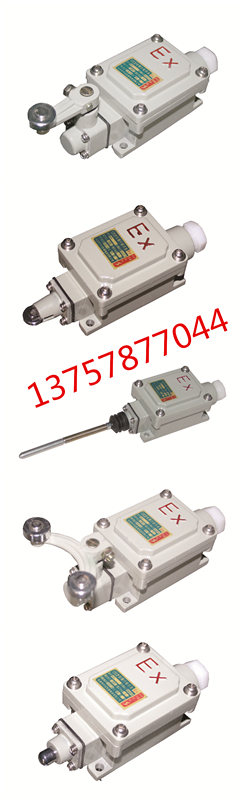 南京哪里有賣防爆行程開關(guān)的（IIB)
