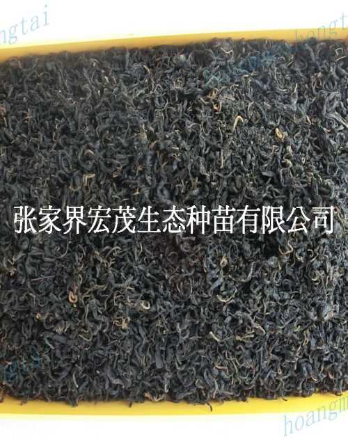 青钱柳茶价格-瘦身青钱柳茶供应